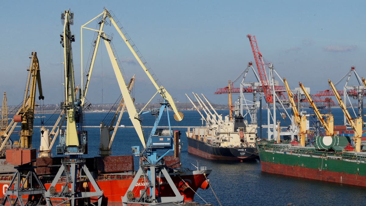 خطة-روسية-تركية-لحل-أزمة-سفن-الحبوب-الأوكرانية.-وكييف-تشكّك