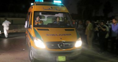 إصابة-7-أشخاص-إثر-اصطدام-سيارة-نقل-بميكروباص-في-مدينة-الشيخ-زايد