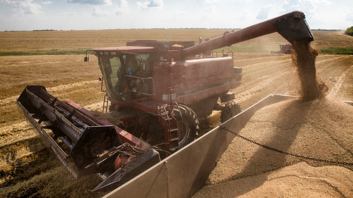 الأردن-يمتنع-عن-الشراء-في-مناقصة-للحصول-على-120-ألف-طن-من-القمح