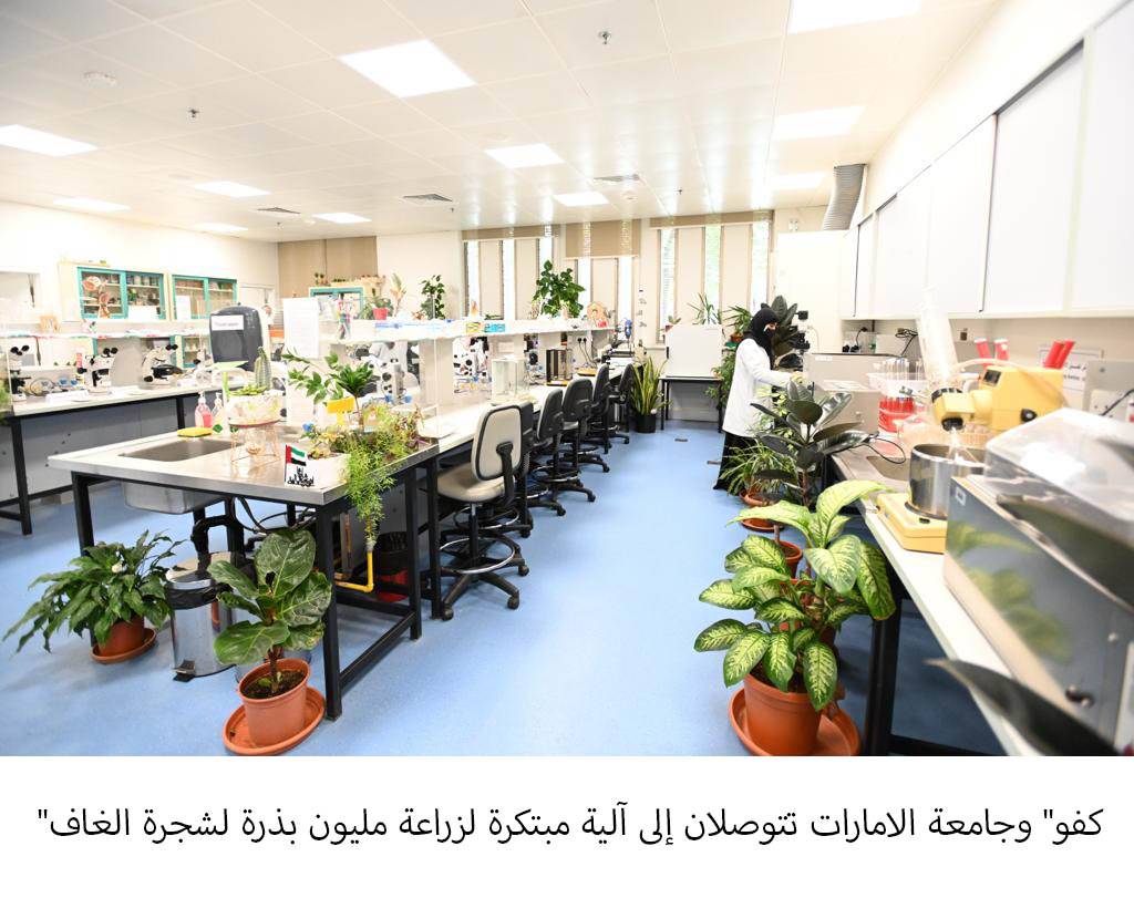 «كفو»-وجامعة-الإمارات:-آلية-مبتكرة-لزراعة-مليون-بذرة-لشجرة-الغاف