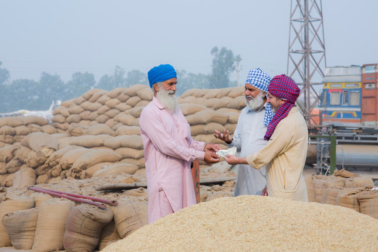 الإمارات تتخذ قرارا هاما بشأن القمح الهندي