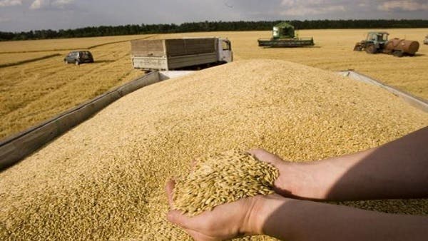 مصر تصدر دعوة دولية لتقديم عروض توريد كمية غير محددة من القمح 