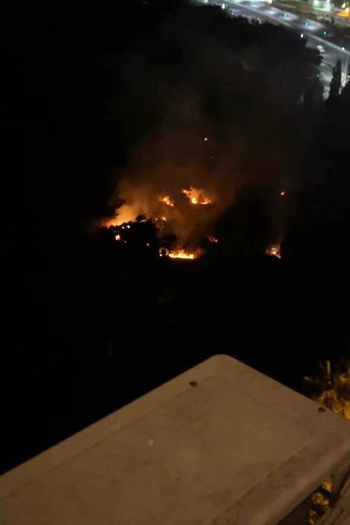 حريق حديقة أنطونيادس (1)