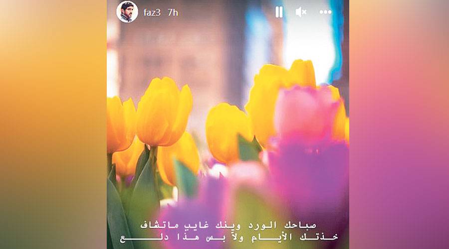 حمدان-بن-محمد-ينشر-قصيدة-عبر-«إنستغرام»