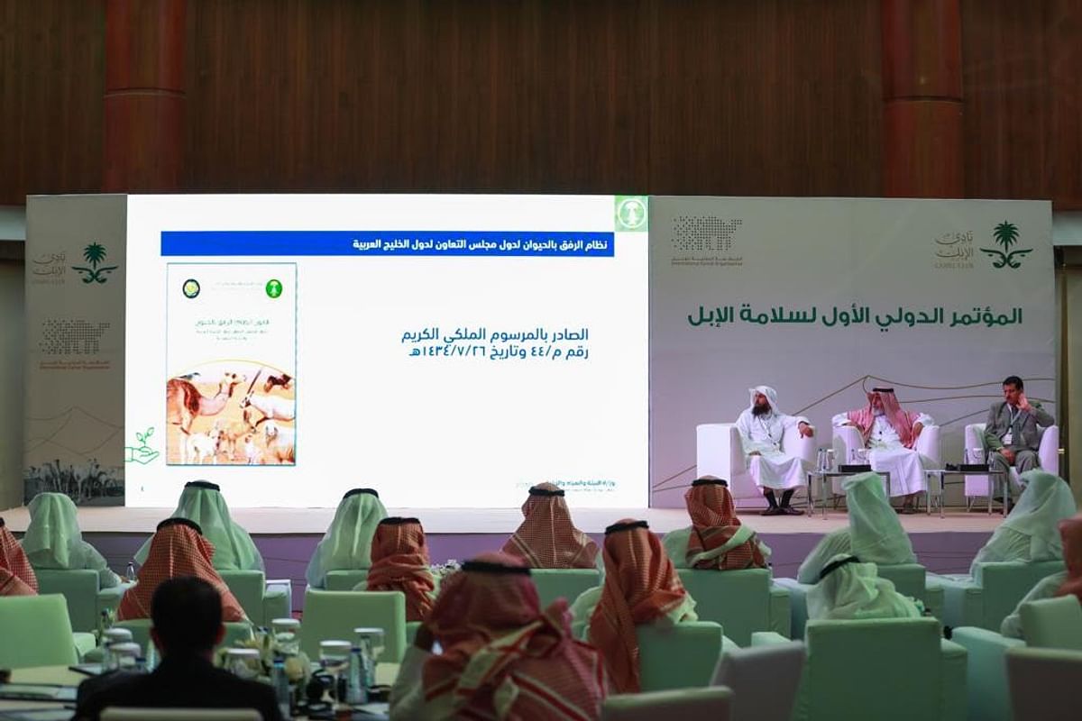 الرياض-تحتضن-لقاءً-سعوديًا-إماراتيًا-قطريًا-للتعاون-وتبادل-الخبرات-في-قطاع-الإبل