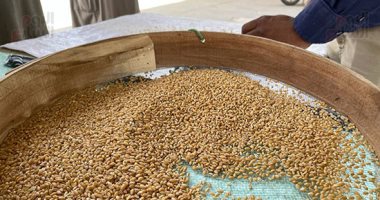 واردات-مصر-من-القمح-تتراجع-للشهر-الرابع-على-التوالى-بنسبة-30%