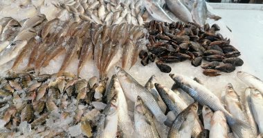 أسعار-الأسماك-فى-مصر-اليوم-الخميس-2872022