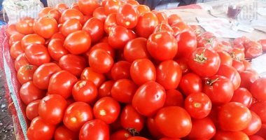 أسعار-الخضروات-بسوق-الجملة-الطماطم-تبدأ-من-2.5-جنيه