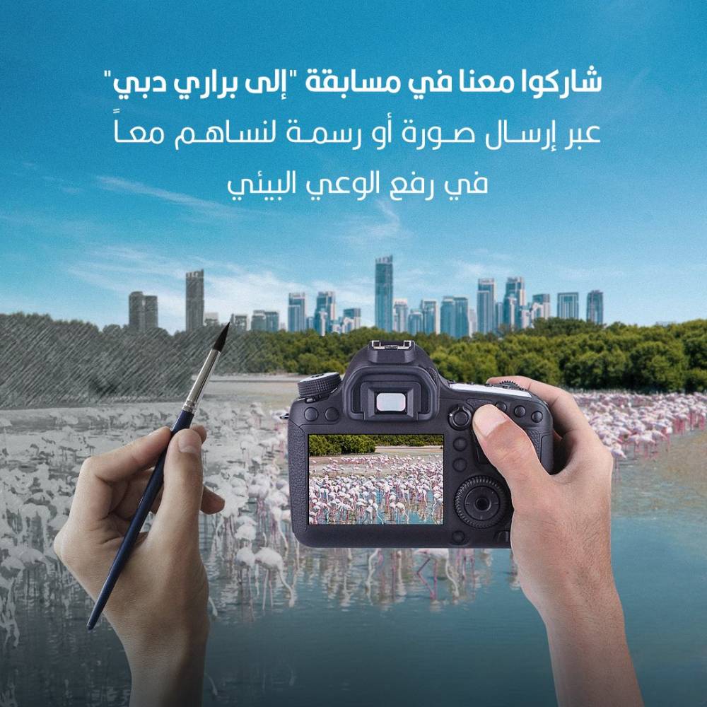 «إلى-براري-دبي»-تستقطب-مشاركين-للحفاظ-على-البيئة