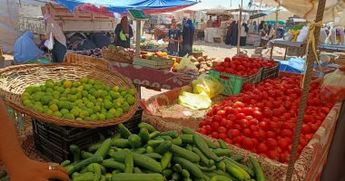 أسعار-الخضراوات-اليوم-فى-مصر.-استقرار-جميع-الأصناف