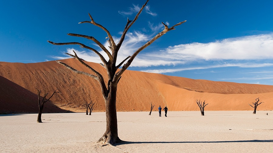 أماكن طبيعية صحراء ناميب