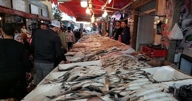 أسعار-الأسماك-فى-الأسواق-اليوم.-البلطى-يبدأ-من-39-جنيها-للكيلو
