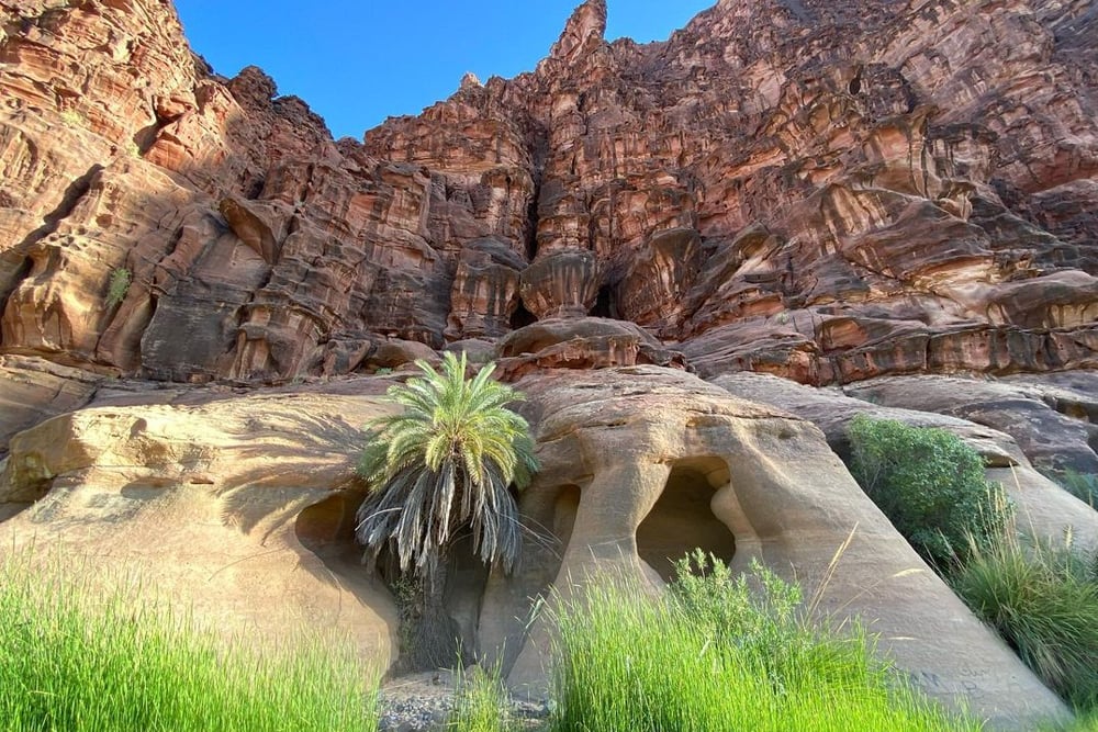 وادي-الديسة-بالمملكة-السعودية.-اكتشف-الطبيعة-في-أبهى-صورها