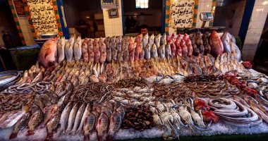 استقرار-أسعار-الأسماك-فى-مصر-اليوم-عند-59-جنيها-للكيلو