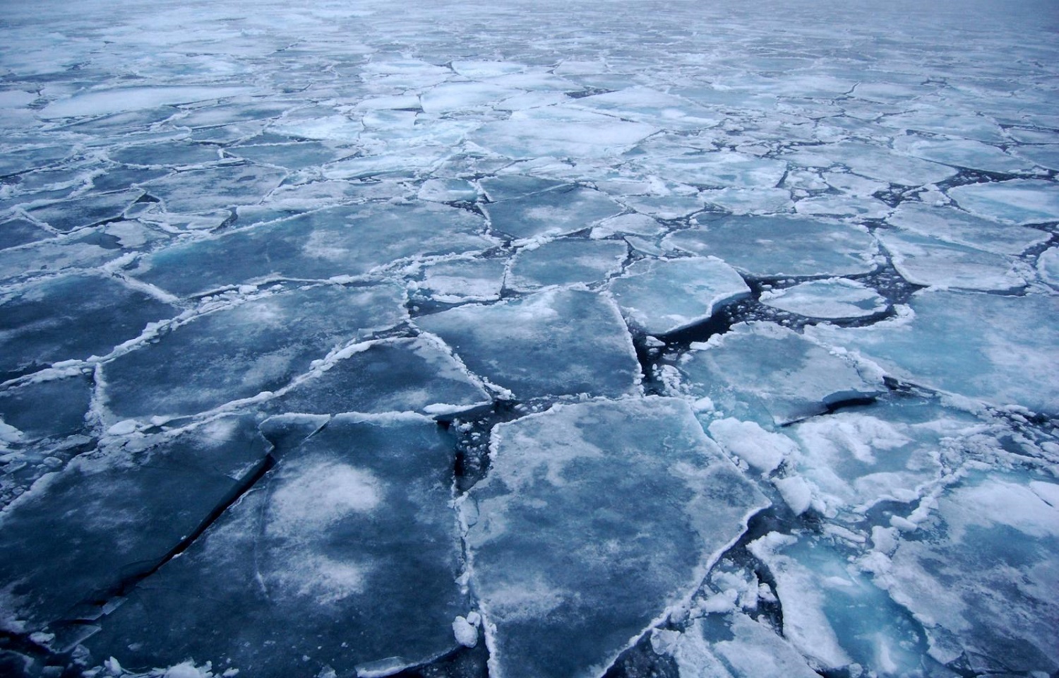 كيف-يتشكل-جليد-البحر-من-مياه-عذبة-بينما-المحيطات-مالحة؟