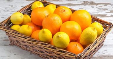 صادرات-البرتقال-المصري-تسجل-98-مليون-دولار-فى-إبريل-الماضى