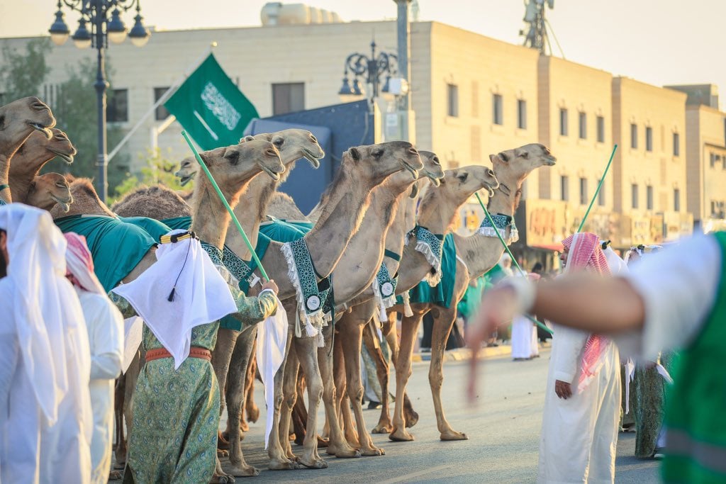 صور.-مسيرة-للإبل-تزين-شوارع-الرياض-في-اليوم-الوطني-السعودي