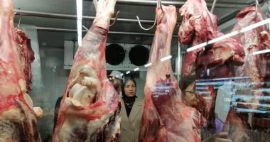 أسعار-اللحوم-الحمراء-فى-مصر-اليوم-الثلاثاء-19-ديسمبر-2023